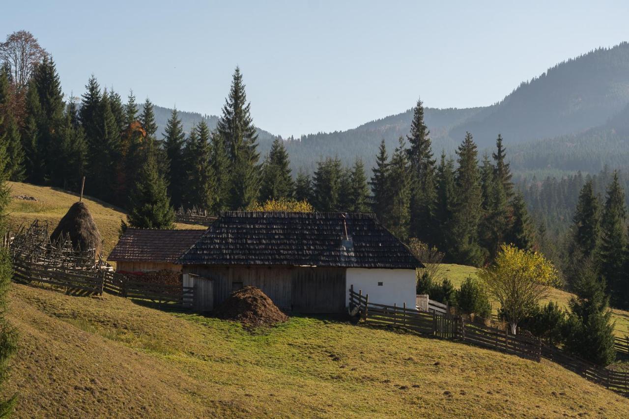 Pensiunea Izvorul Zanelor Colibiţa Exterior foto